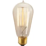 Bulbrite 134019 40W Nostalgic Edison Squirrel Cage-Style Bulb