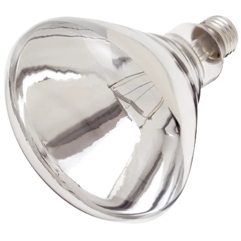 S4885 Satco S4885 250 Watt R40 Incandescent; Clear Heat; 6000 Average rated hours; Medium base; 120 Volt; Shatter Proof - Image 2